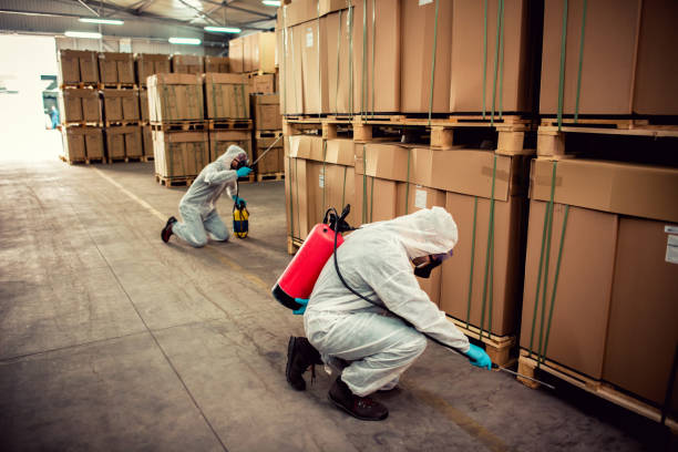 Reliable Kitty Hawk, NC Pest Control Solutions