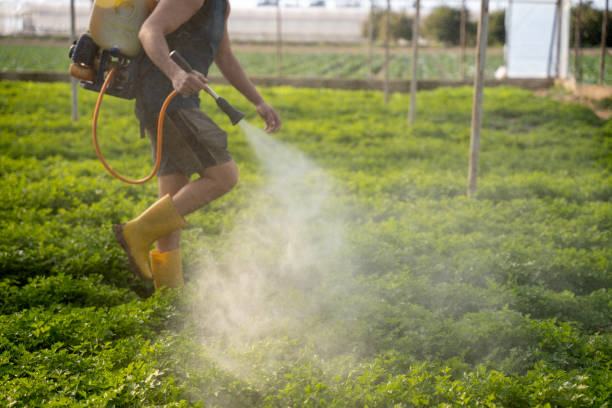 Best Best Pest Control Companies  in Kitty Hawk, NC